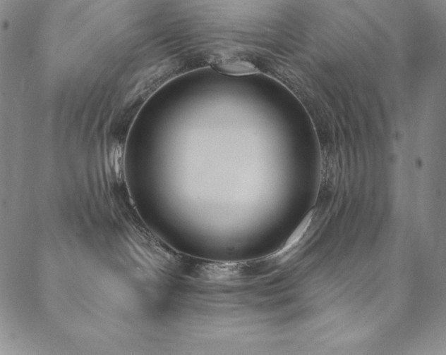 X0000089890094200706281425