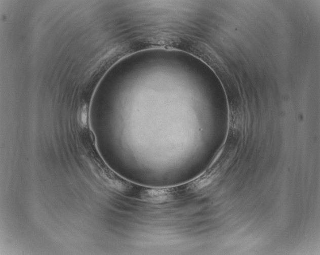 X0000089890095200706281425
