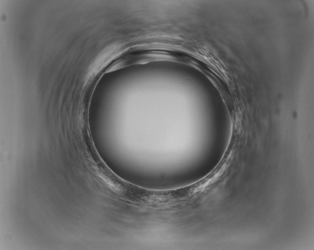 X0000089890101200706281424
