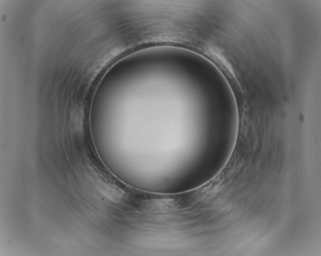 X0000089890108200706281424