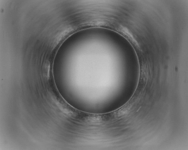 X0000089890110200706281424
