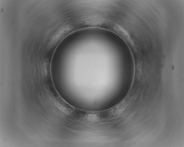 X0000089890114200706281424