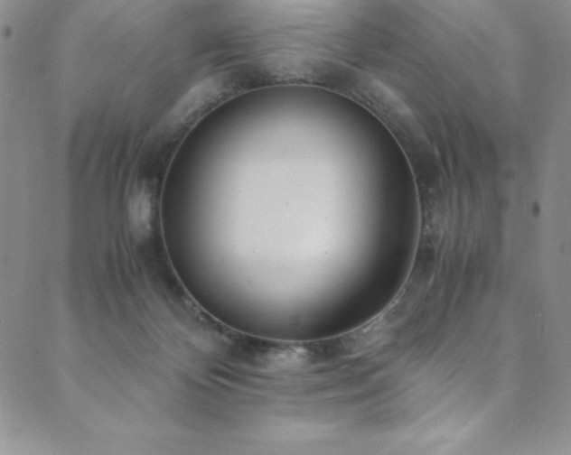 X0000089890124200706281424