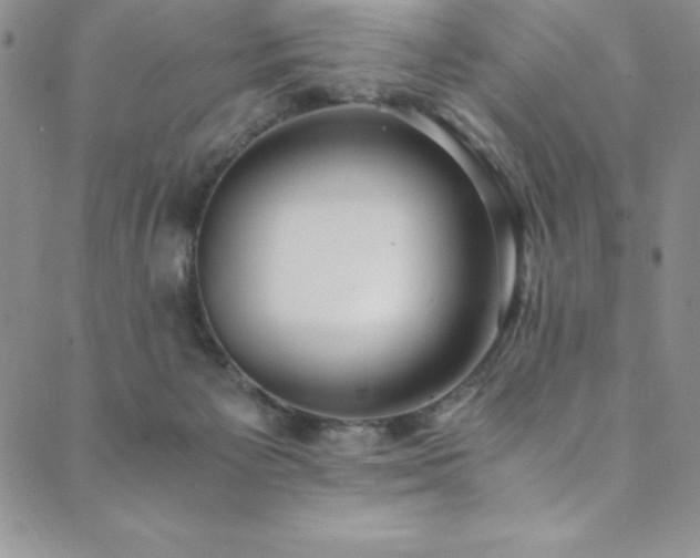 X0000089890125200706281424
