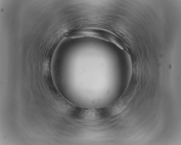 X0000089890127200706281424