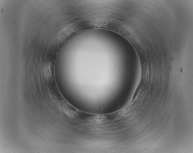 X0000089890128200706281424