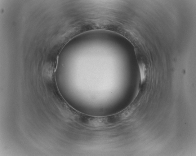 X0000089890129200706281424
