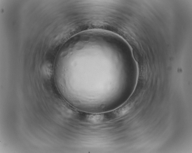 X0000089890135200706281424