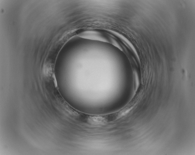 X0000089890137200706281424