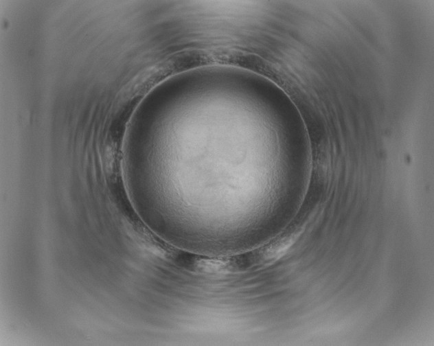 X0000089890139200706281424