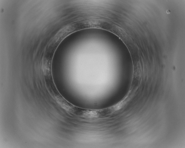 X0000089890140200706281424