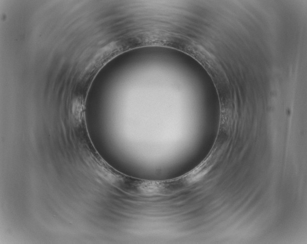 X0000089890142200706281424
