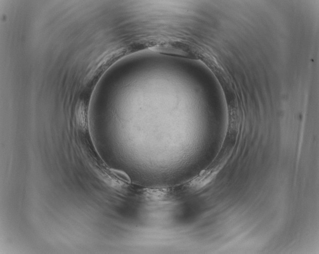 X0000089890143200706281424