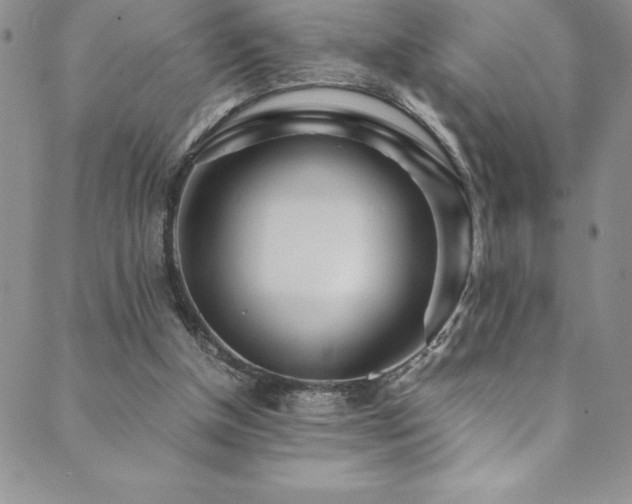 X0000089890154200706281423
