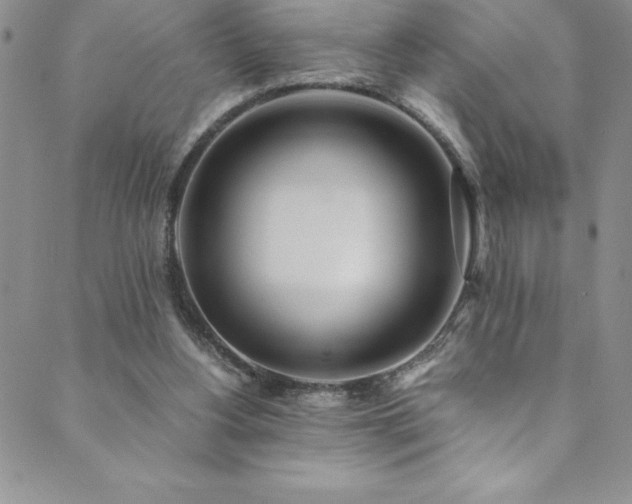 X0000089890156200706281423