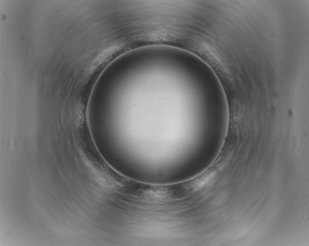 X0000089890164200706281423