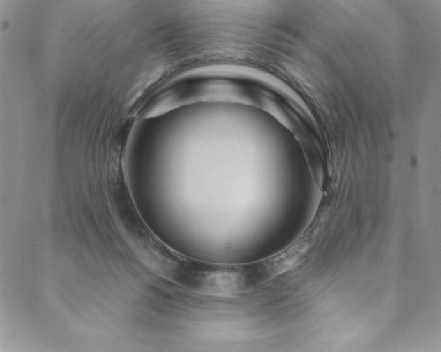 X0000089890168200706281423