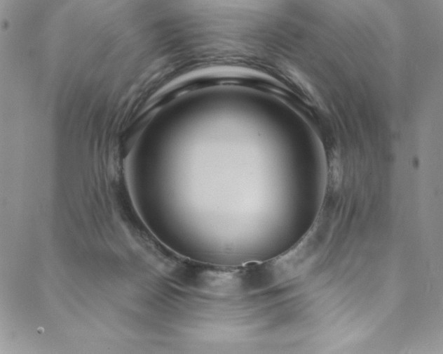 X0000089890170200706281423