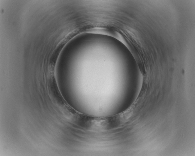 X0000089890172200706281423
