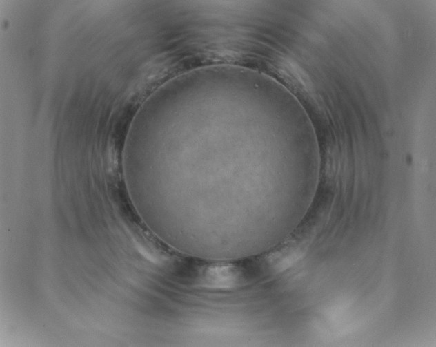 X0000089890173200706281423