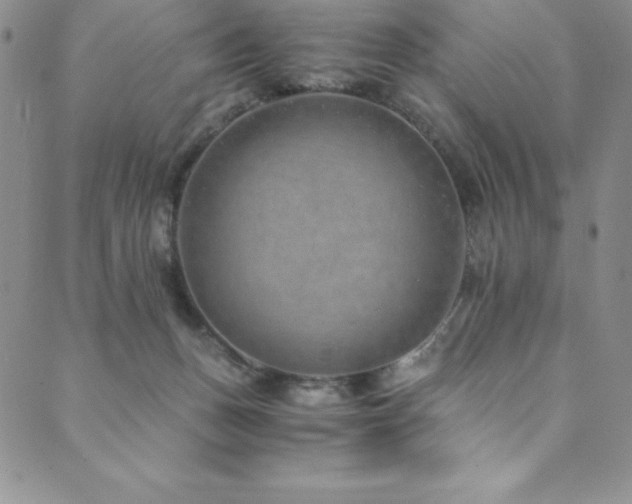 X0000089890175200706281423