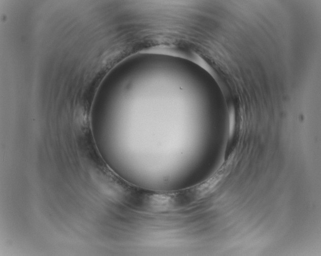 X0000089890176200706281423