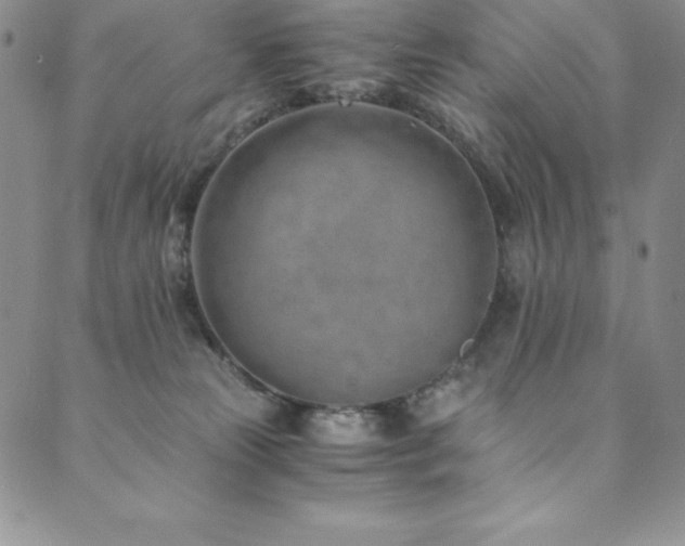 X0000089890181200706281423