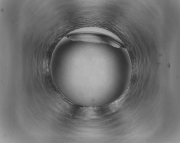 X0000089890182200706281423