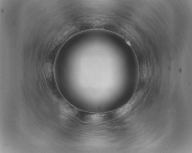 X0000089890184200706281424