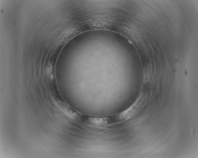 X0000089890187200706281424