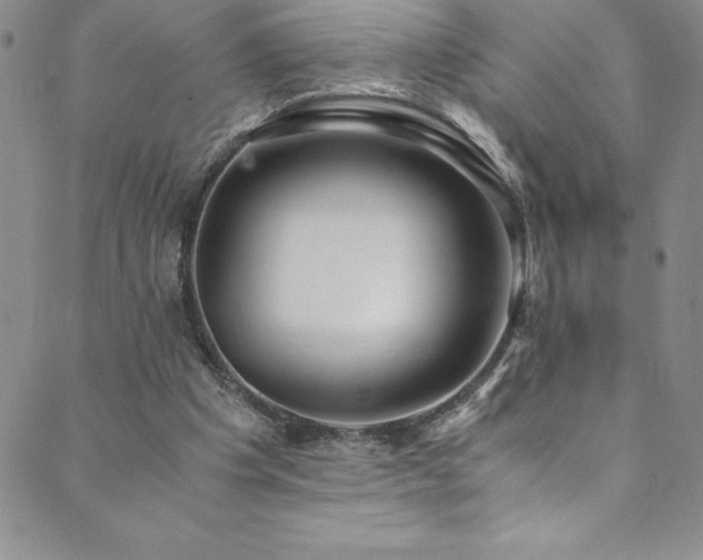 X0000089890201200706281423