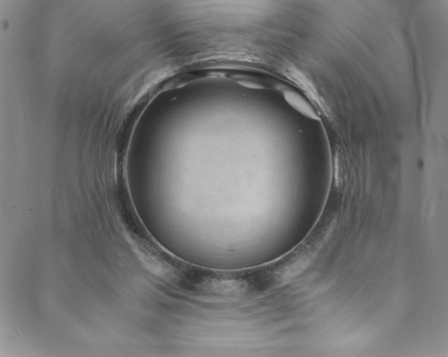 X0000089890205200706281423
