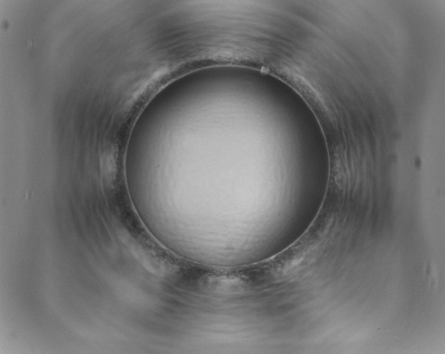 X0000089890208200706281423