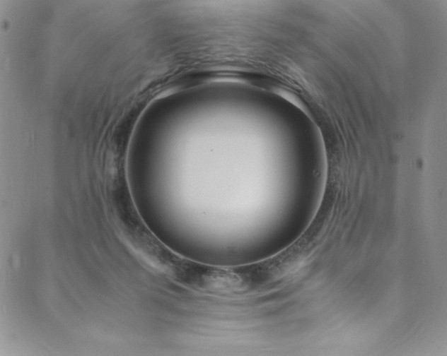 X0000089890215200706281423