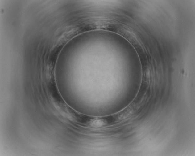 X0000089890218200706281422
