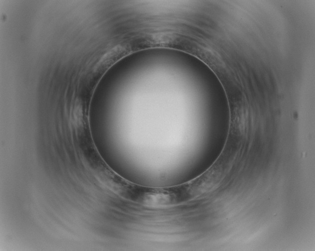 X0000089890220200706281422