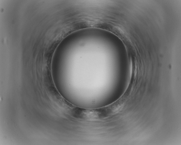 X0000089890221200706281422