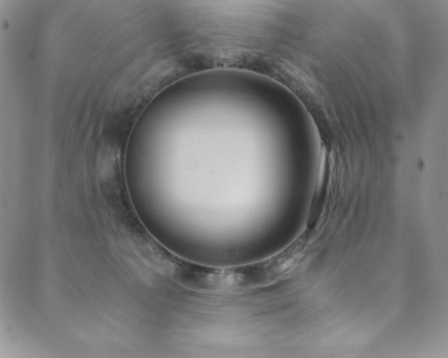 X0000089890225200706281422