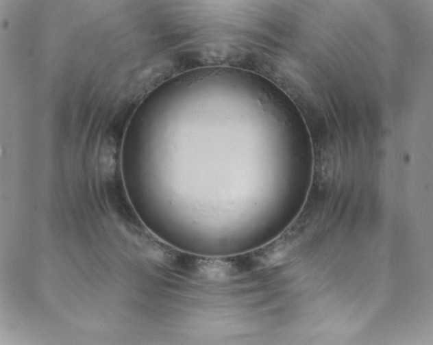 X0000089890226200706281422
