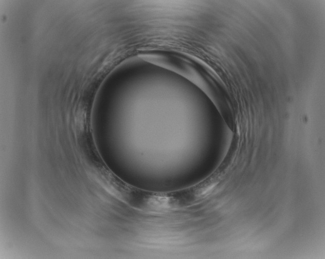 X0000089890227200706281422