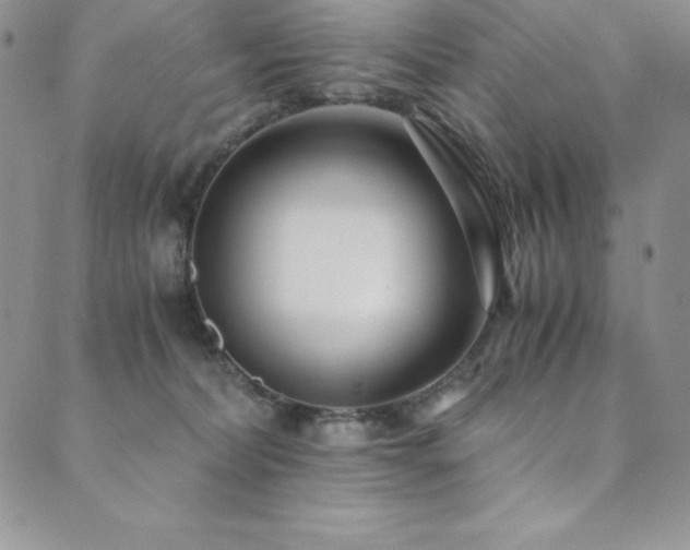 X0000089890228200706281422