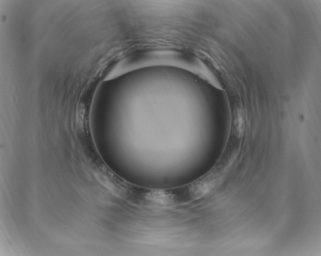X0000089890231200706281422