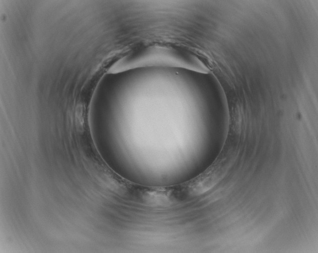 X0000089890232200706281422