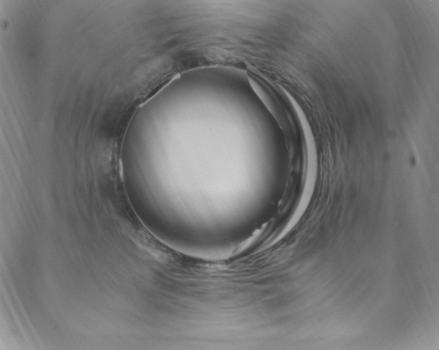 X0000089890233200706281422