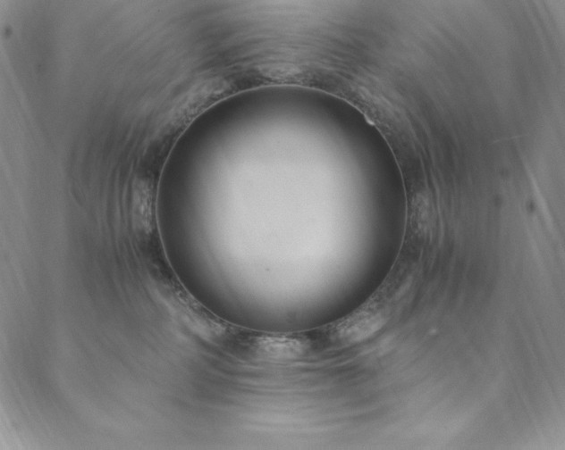 X0000089890234200706281422