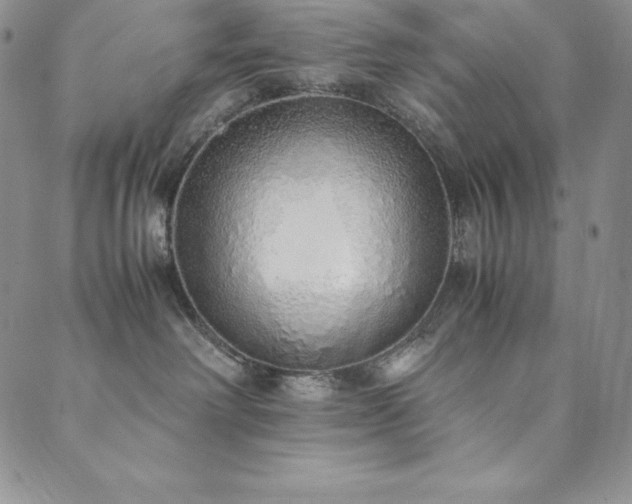 X0000089890238200706281422