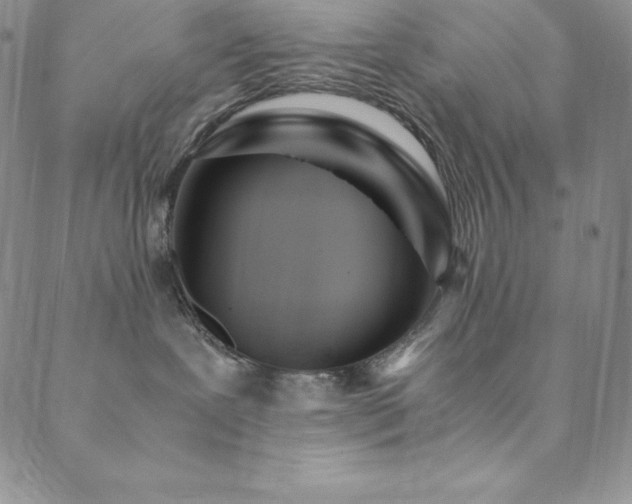 X0000089890239200706281422