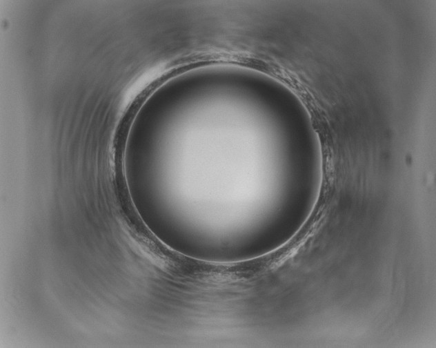 X0000089890246200706281421
