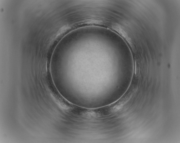 X0000089890253200706281422