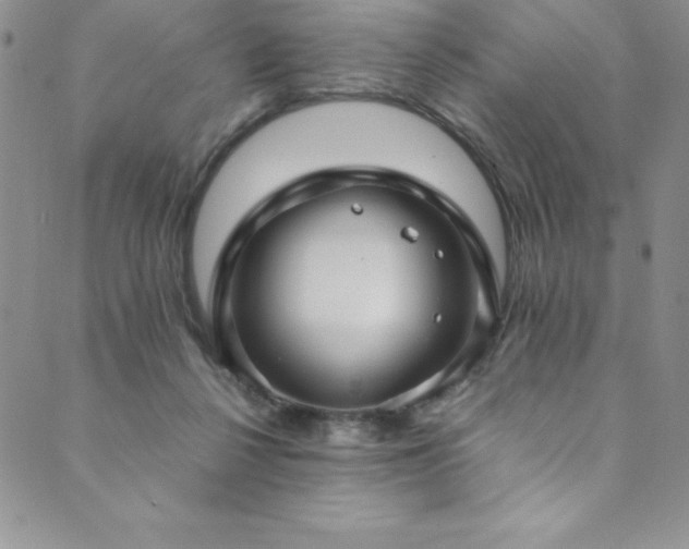 X0000089890264200706281422